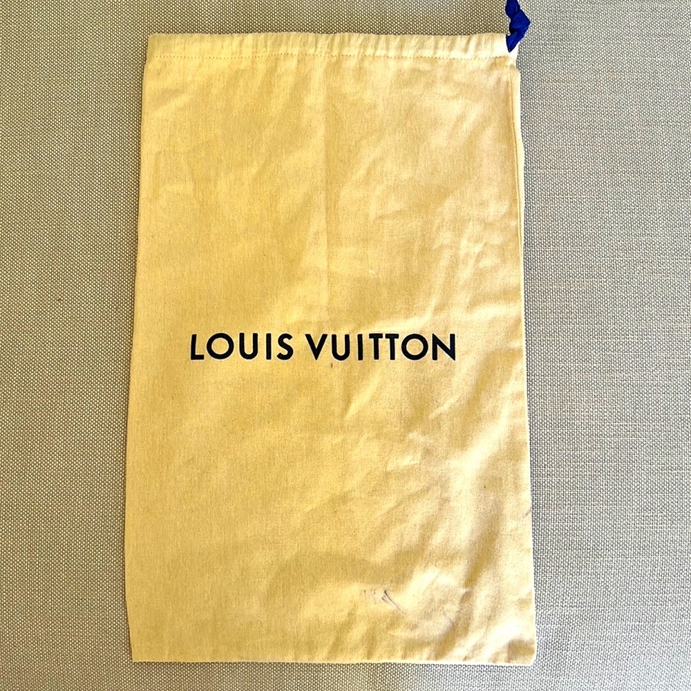 Louis Vuitton shoe bag